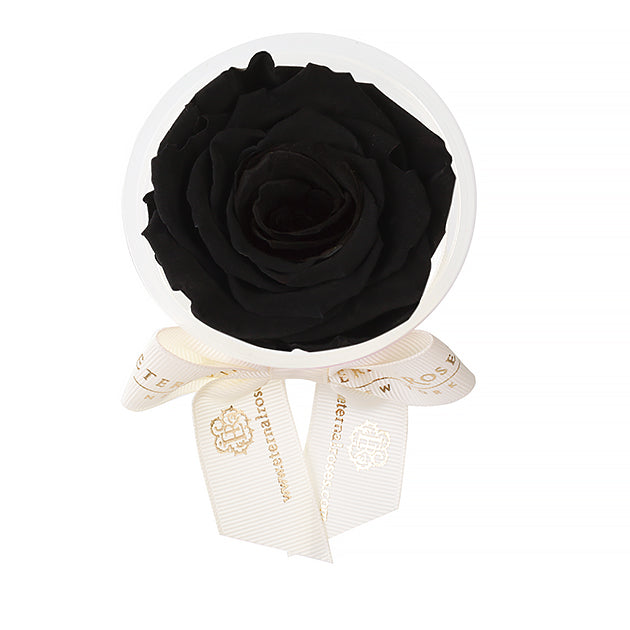 Party Favors | Flower Decoration Accessories