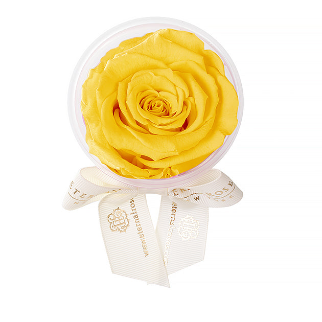 Party Favors | Flower Decoration Accessories