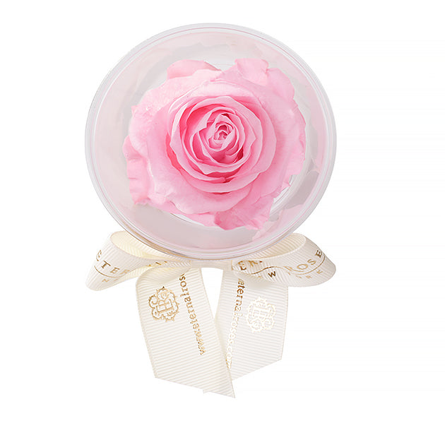 Party Favors | Flower Decoration Accessories