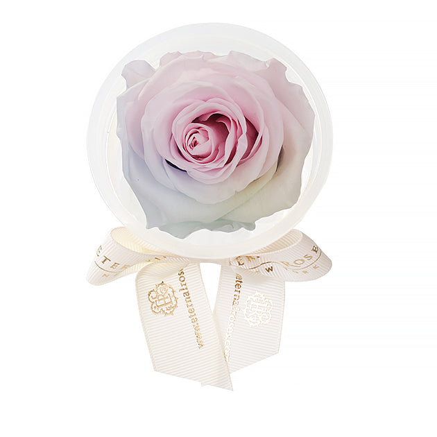 Party Favors | Flower Decoration Accessories