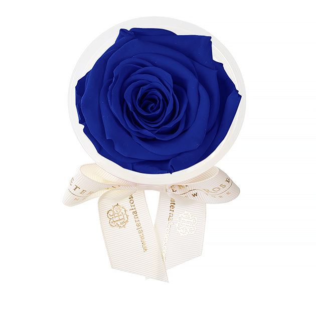 Party Favors | Flower Decoration Accessories