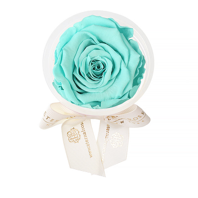 Party Favors | Flower Decoration Accessories