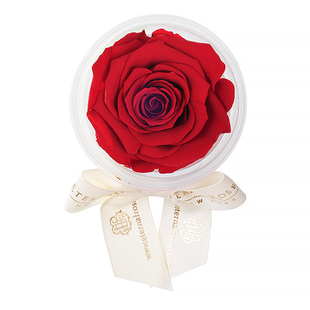 Party Favors | Flower Decoration Accessories