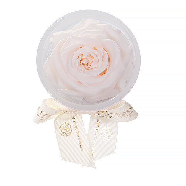 Party Favors | Flower Decoration Accessories