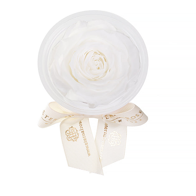 Party Favors | Flower Decoration Accessories