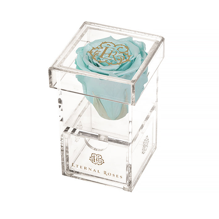 Preserved Roses Madison Single Rose Gift Box