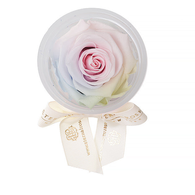 Preserved roses Party Favors | Flower Decoration Accessories
