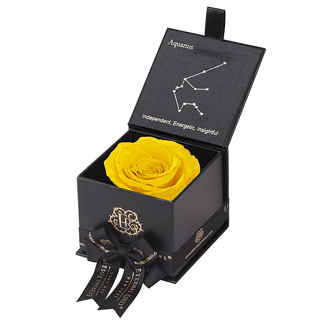 Eternal Roses Gift Box Aquarius Black - Aquarius Collection - Eternal Roses CA