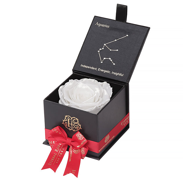 Eternal Roses Gift Box Aquarius Black - Aquarius Collection - Eternal Roses CA