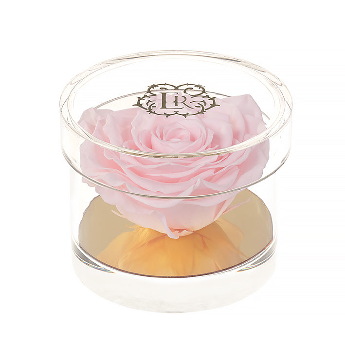 Eternal Roses Madison Round Acrylic Gift Box - Eternal Roses CA