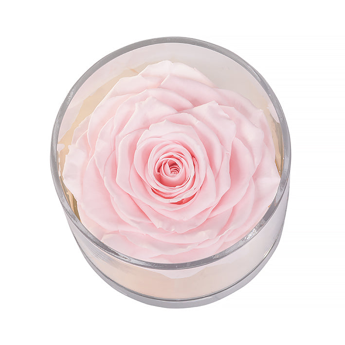 Eternal Roses Madison Round Acrylic Gift Box - Eternal Roses CA