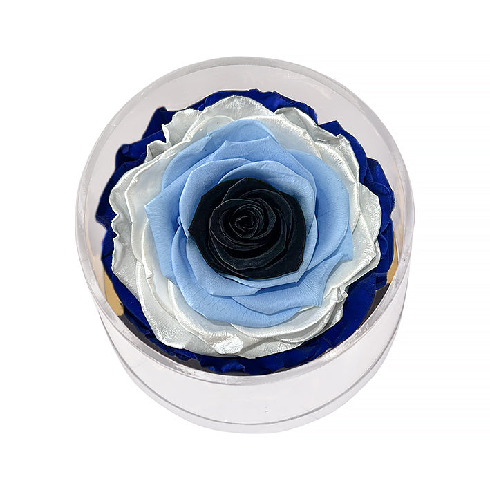 Eternal Roses Madison Round Acrylic Gift Box - Eternal Roses CA