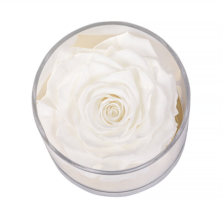 Eternal Roses Madison Round Acrylic Gift Box - Eternal Roses CA