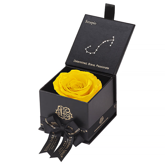 Eternal Roses Gift Box Scorpio Black, Astor Collection - Eternal Roses CA