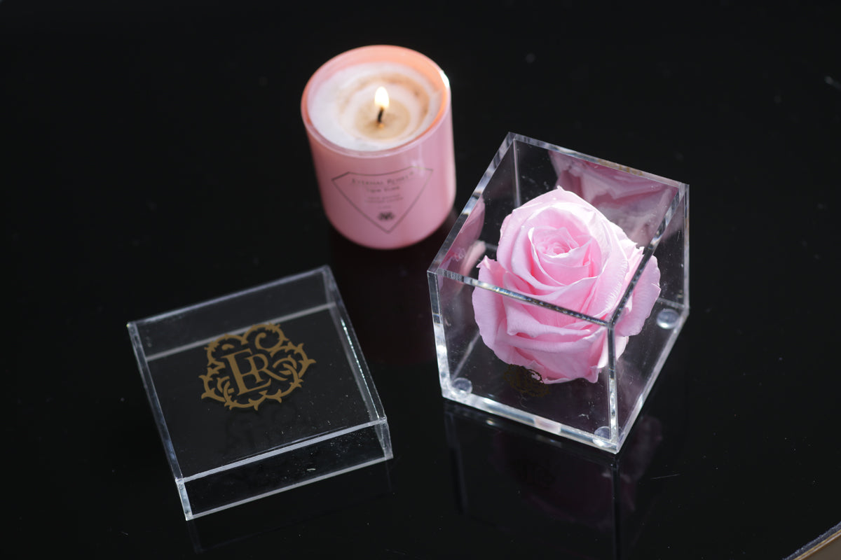 Heartfelt Collection of Preserved Eternal Roses