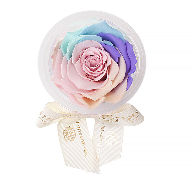 Preserved roses Party Favors | Flower Decoration Accessories