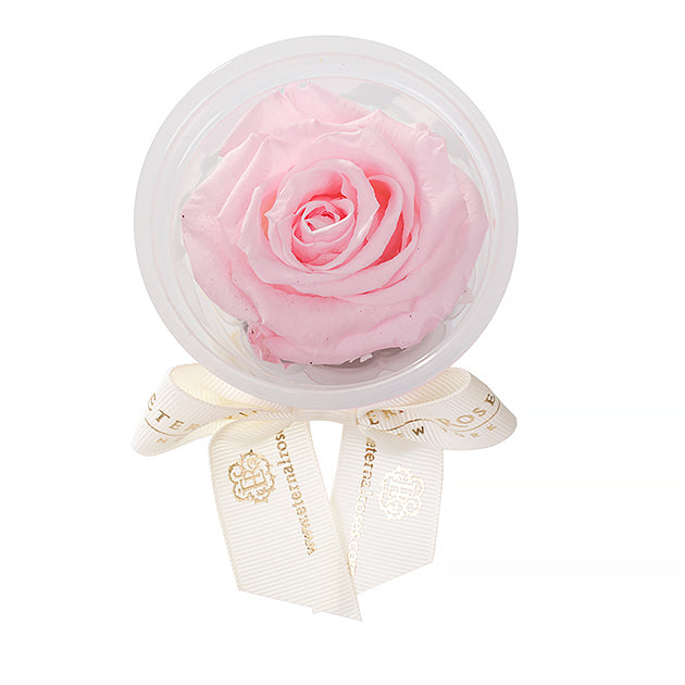 Preserved roses Party Favors | Flower Decoration Accessories
