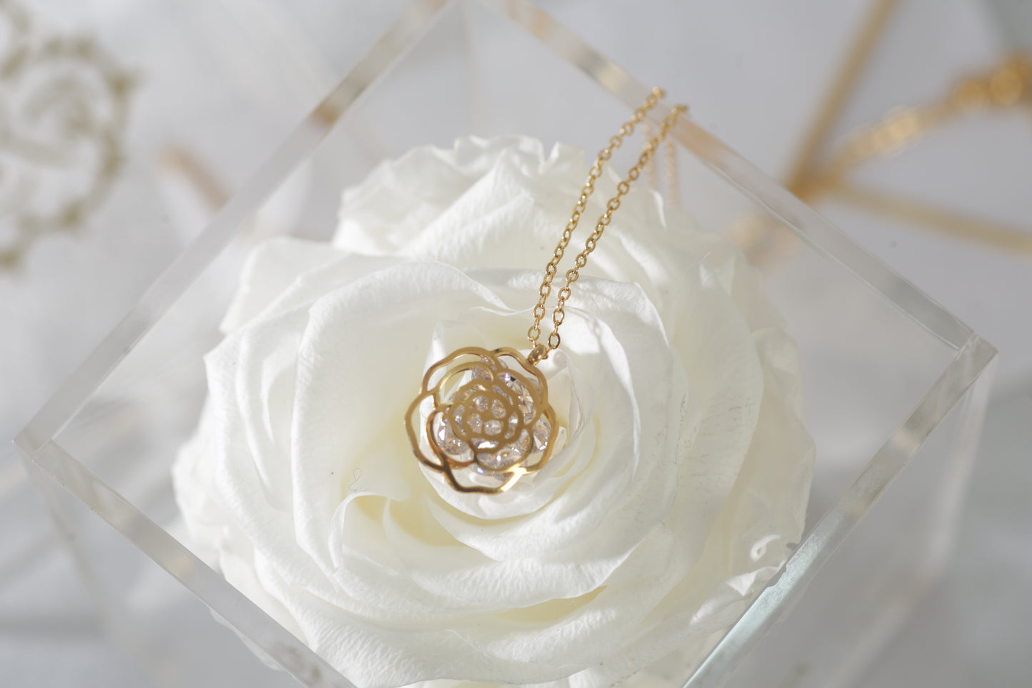 Eternals Rose Gold Necklace - Valentine's Day Special