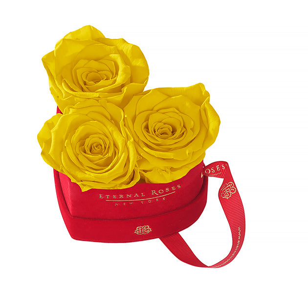 Eternal Roses Mini Chelsea Red Velvet Gift Box - Perfect Birthday Gift - Eternal Roses CA