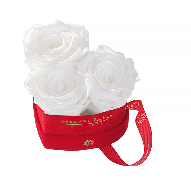70 Eternal Roses Eternal Roses® | Luxury Preserved Roses Arrangements & Unique Gifts ...