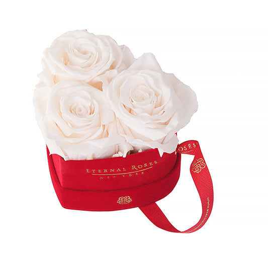 Eternal Roses Mini Chelsea Red Velvet Gift Box - Perfect Birthday Gift - Eternal Roses CA