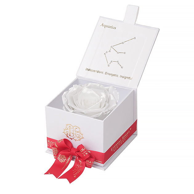 Eternal Roses Gift Box Aquarius White, Astor Collection - Eternal Roses CA