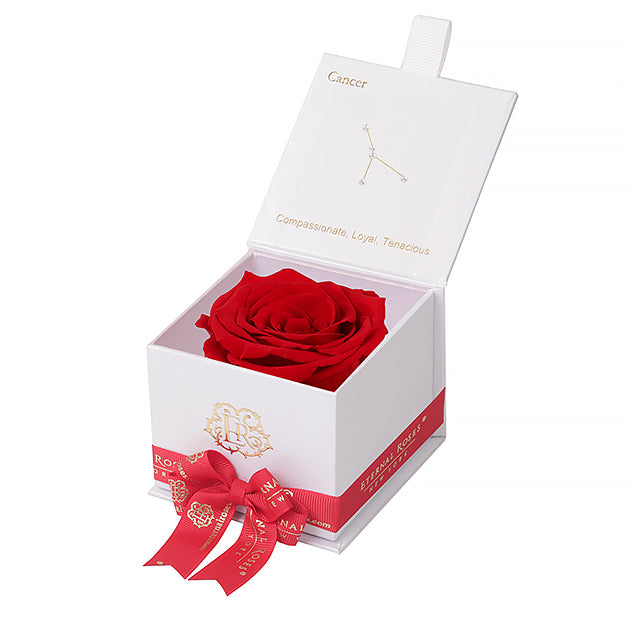 Eternal Roses Gift Box Cancer White, Astor Collection - Eternal Roses CA