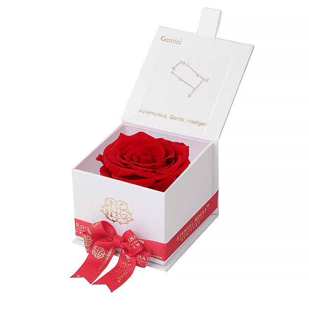 Eternal Roses Gift Box Gemini White, Astor Collection - Eternal Roses CA