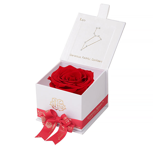 Eternal Roses Gift Box Leo White, Astor Collection - Eternal Roses CA