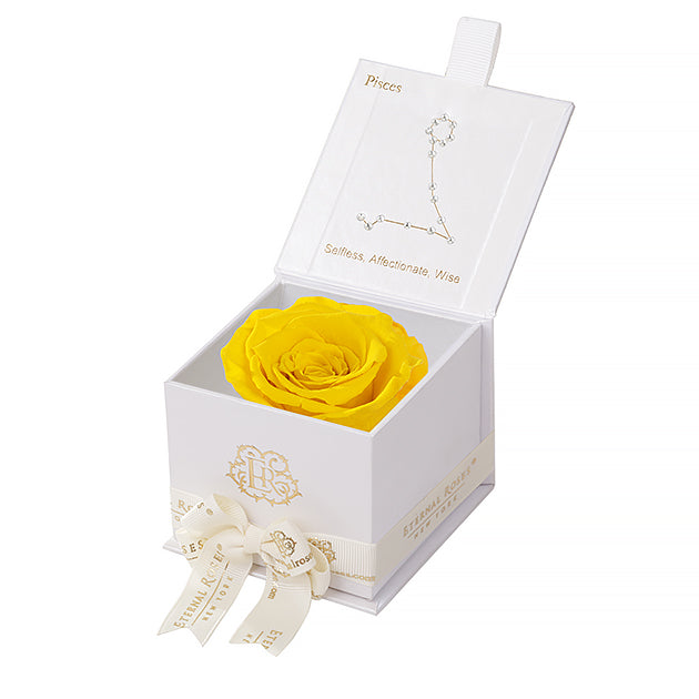 Eternal Roses Gift Box Pisces White, Astor Collection - Eternal Roses CA