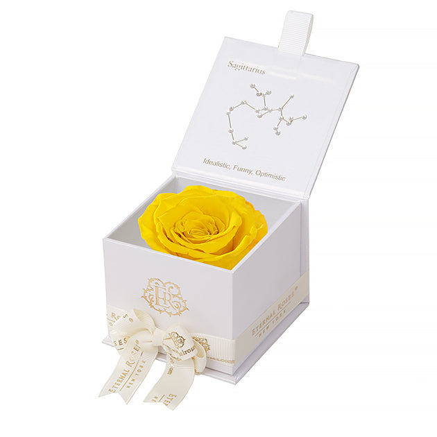 Eternal Roses Gift Box Sagittarius White, Astor Collection - Eternal Roses CA