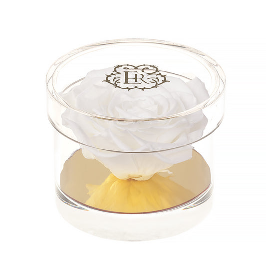 Eternal Roses Madison Round Acrylic Gift Box - Eternal Roses CA