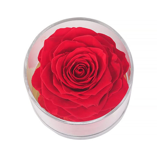 Eternal Roses Madison Round Acrylic Gift Box - Eternal Roses CA